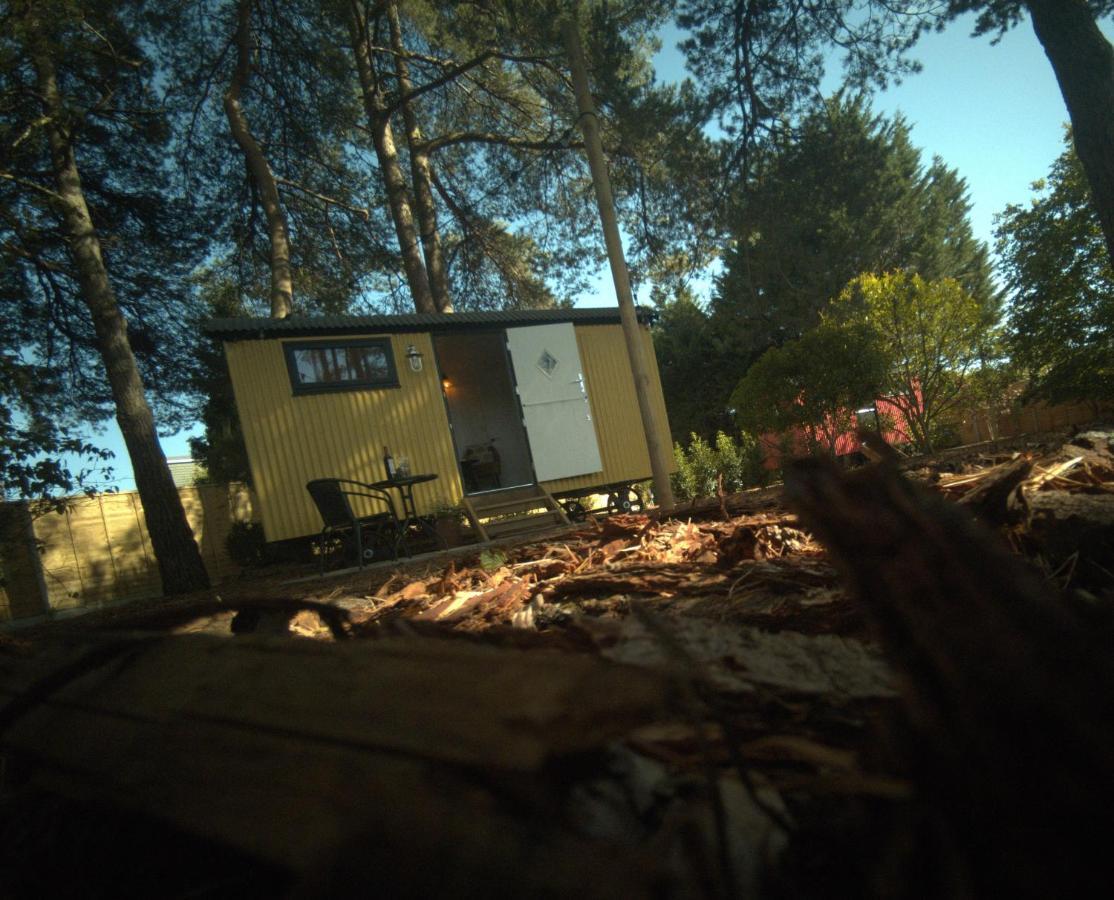 Forest Heath Shepherd'S Huts Ringwood Kültér fotó