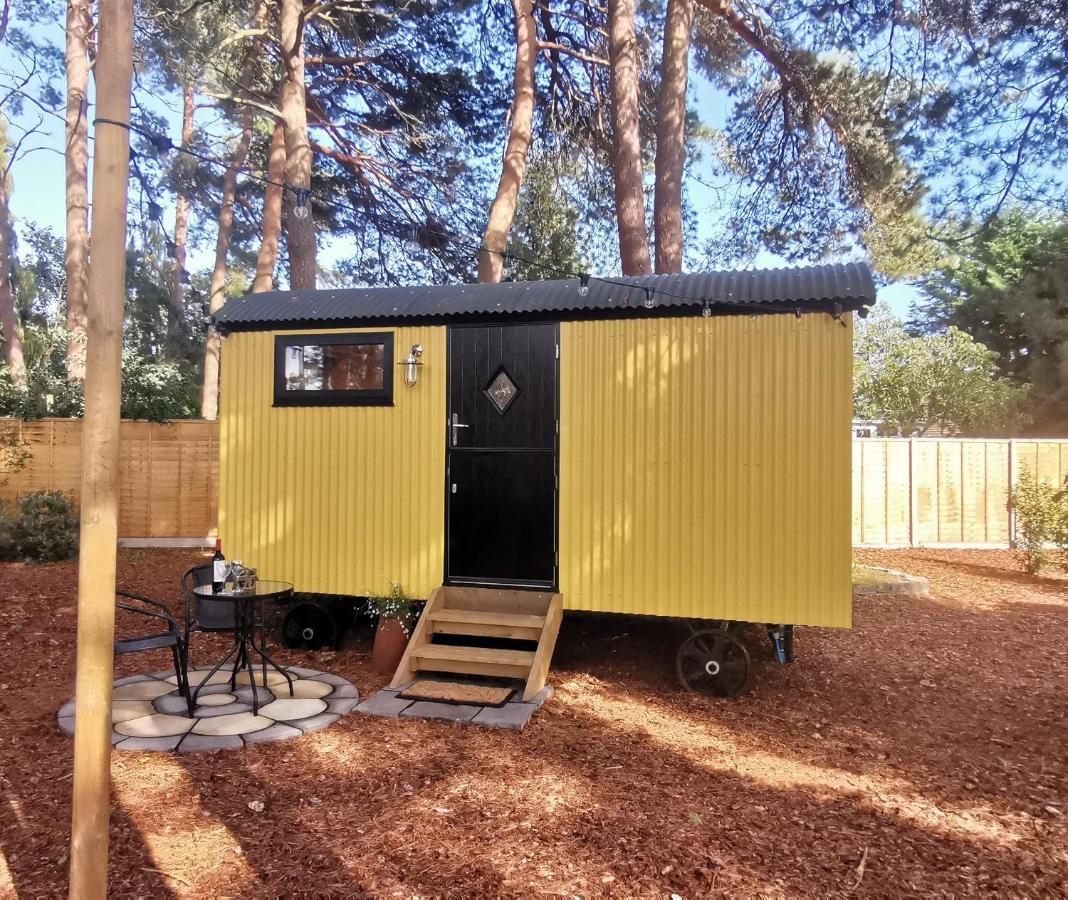 Forest Heath Shepherd'S Huts Ringwood Kültér fotó