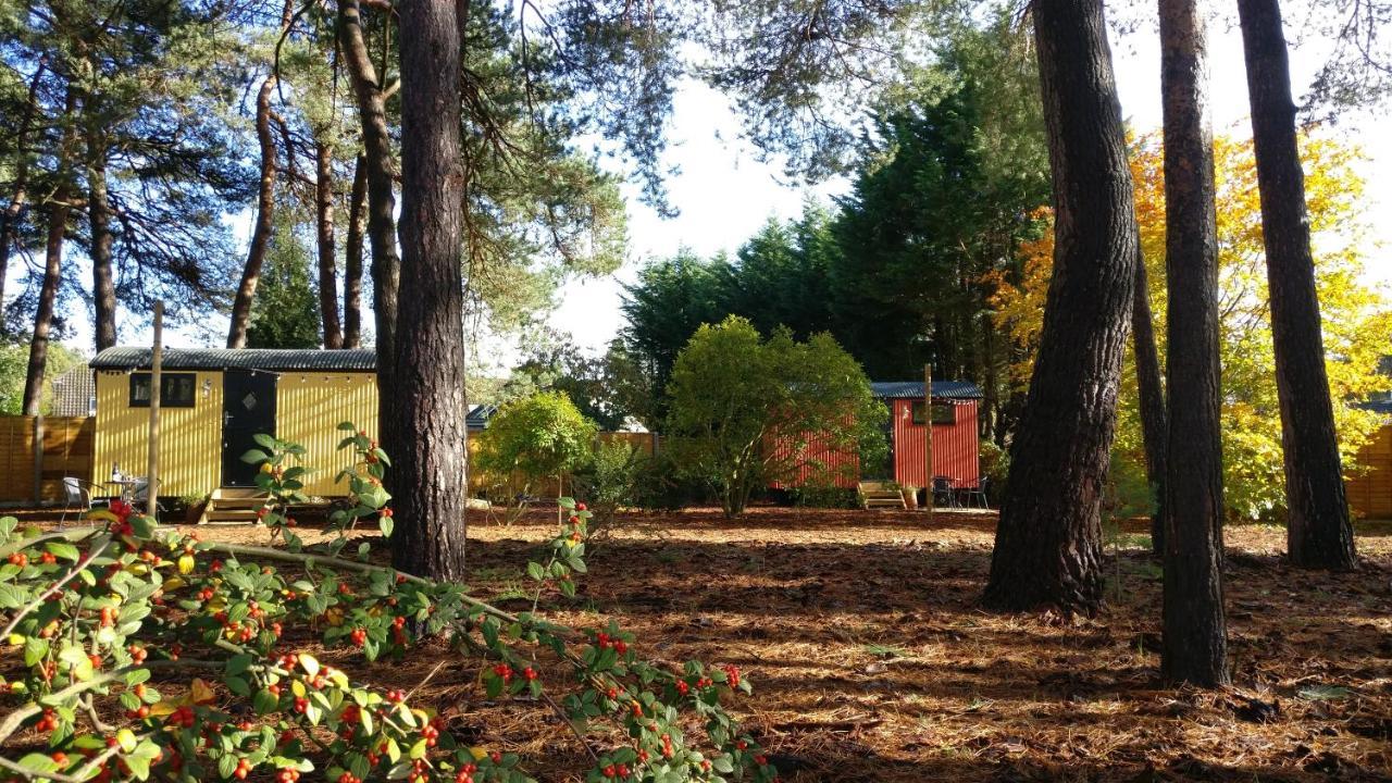 Forest Heath Shepherd'S Huts Ringwood Kültér fotó