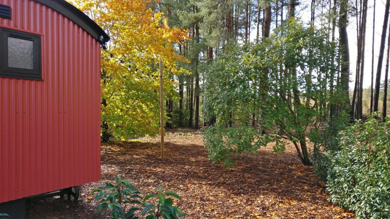 Forest Heath Shepherd'S Huts Ringwood Kültér fotó
