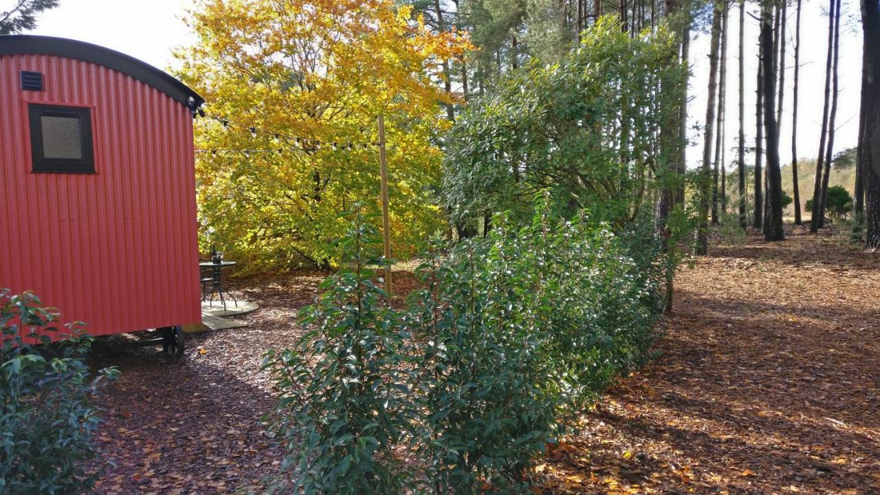 Forest Heath Shepherd'S Huts Ringwood Kültér fotó