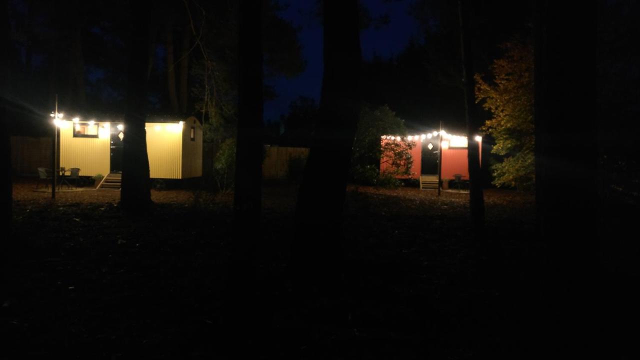 Forest Heath Shepherd'S Huts Ringwood Kültér fotó